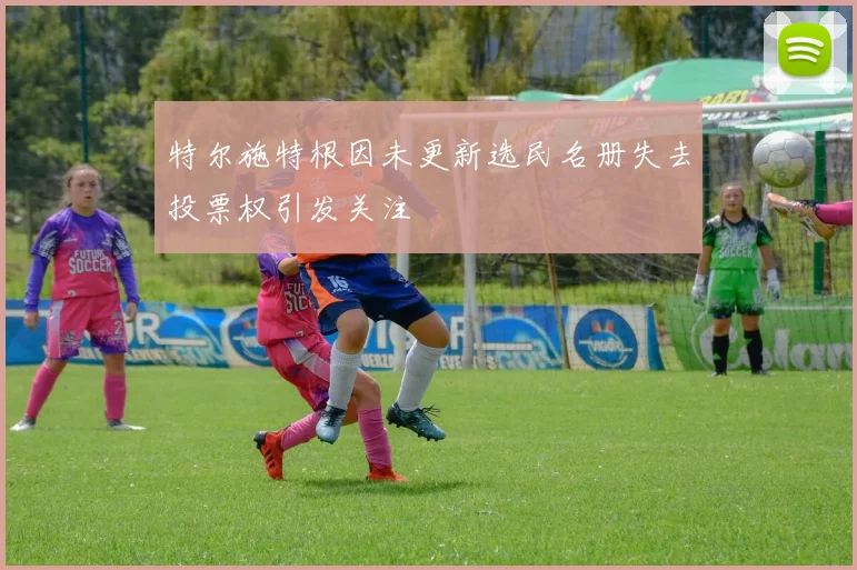 特尔施特根因未更新选民名册失去投票权引发关注